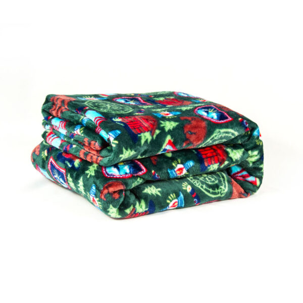 Flame-Retardant-Begoodtex-01085 Begoodtex Flame Retardant Printed Blanket, Soft and Warm Plush for Bedroom, Living Room