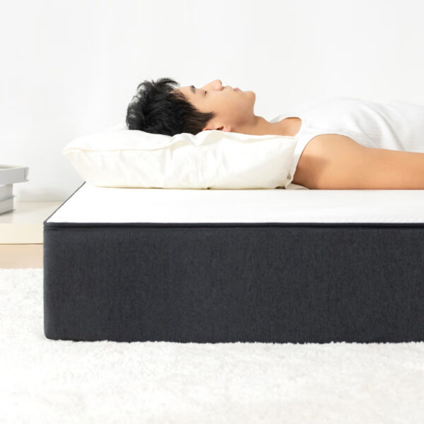 Housse de matelas ignifuge Begoodtex pour matelas souples et durs